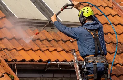 Démoussage et hydrofuge de toiture à Perrusse